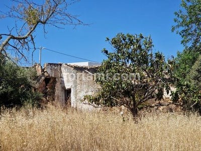 /international/pt/faro-faro-310107905717/