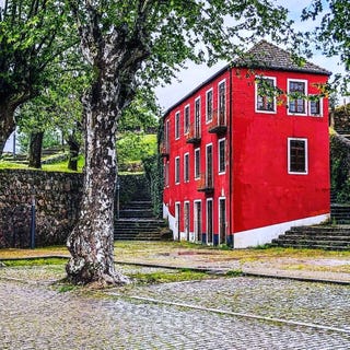 /international/pt/mono-leiria-310107641737/