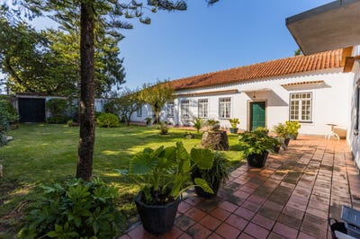 /international/pt/barcelos-braga-120061964344/