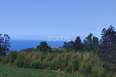 /international/pt/nordeste-azores-310100672413/