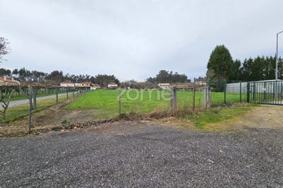 /international/pt/ponte-de-lima-viana-do-castelo-310098810436/?lang=zh-cn
