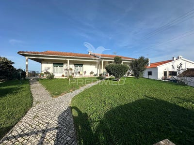 /international/pt/povoa-da-isenta-santarem-santarem-310102248586/