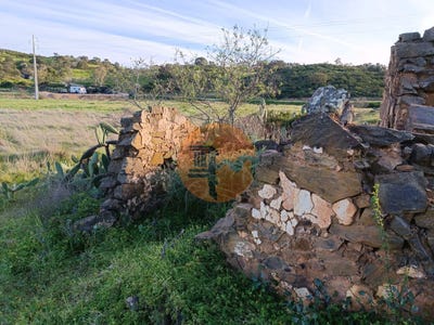 /international/pt/faro-faro-310096795924/