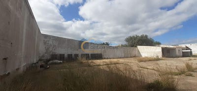 /international/pt/ferreiras-faro-310101357645/?lang=zh-tw