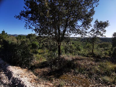/international/pt/chaos-corujas-aljubarrota-leiria-120091024321/