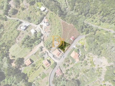 /international/pt/sao-vicente-madeira-madeira-310095172199/