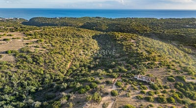 /international/pt/faro-faro-310104113225/