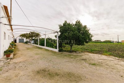 /international/pt/montijo-e-afonsoeiro-setubal-municipality-310100669201/