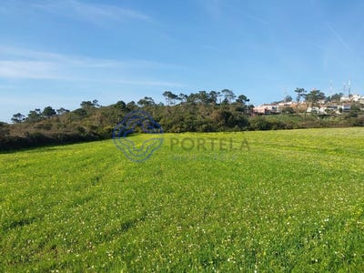 /international/pt/carreco-viana-do-castelo-310105991650/