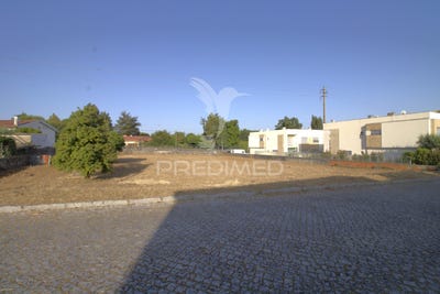 /international/pt/maia-maia-porto-310099495977/