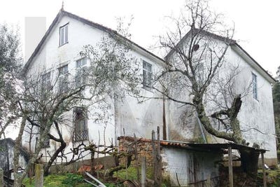 /international/pt/gois-beja-310100110012/