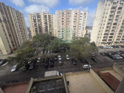 /international/pt/alenquer-lisbon-310108762649/