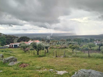 /international/pt/ribeira-de-nisa-e-carreiras-portalegre-portalegre-310108367132/