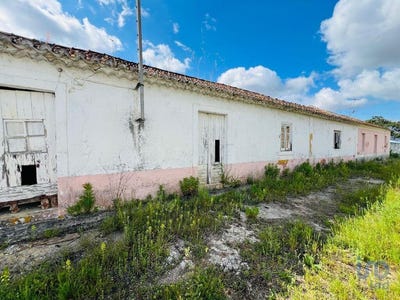 /international/pt/santarem-santarem-310100488212/