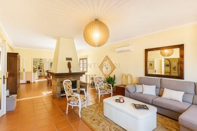 /international/pt/dr-helder-ramos-e-barros-almodovar-beja-310097523813/