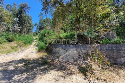 /international/pt/barcelos-braga-120076838145/