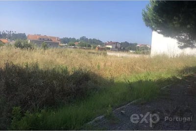 /international/pt/espinho-castelo-branco-310106776006/