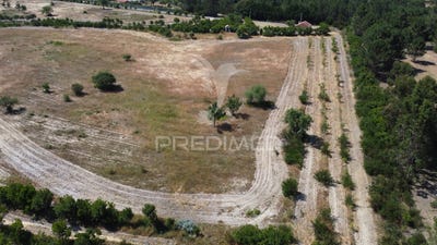/international/pt/boavista-dos-pinheiros-odemira-beja-310101104679/