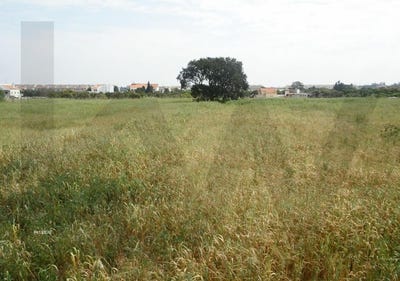 /international/pt/alcochete-setubal-municipality-310100289472/