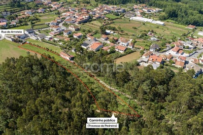 /international/pt/santa-maria-da-feira-aveiro-120069170925/