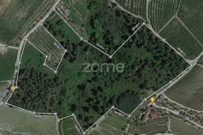 /international/pt/alijo-vila-real-310104168930/