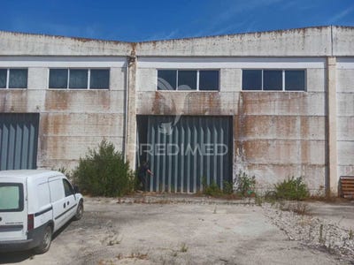 /international/pt/palmela-palmela-setubal-municipality-310100540808/