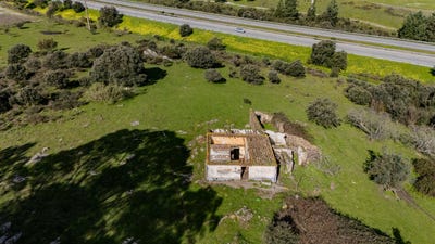 /international/pt/borba-matriz-evora-310106944021/