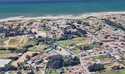 /international/pt/madalena-vila-nova-de-gaia-porto-310096797051/