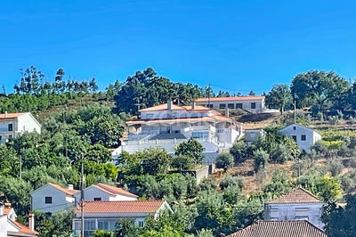 /international/pt/pampilhosa-da-serra-coimbra-310105012543/