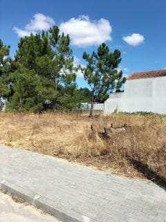 /international/pt/quinta-do-anjo-setubal-municipality-310101228614/?lang=zh-tw