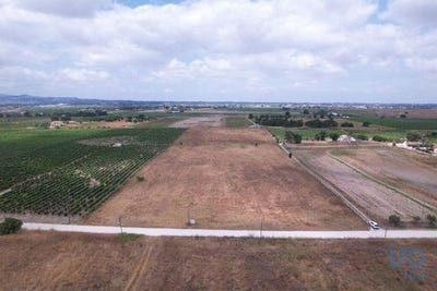 /international/pt/palmela-setubal-municipality-310100042917/