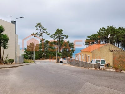 /international/pt/nazare-leiria-310101877605/