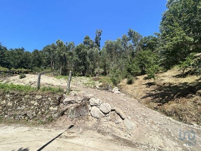 /international/pt/viana-do-castelo-viana-do-castelo-310093909314/