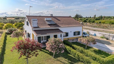 /international/pt/vila-nova-da-baronia-beja-310100715763/