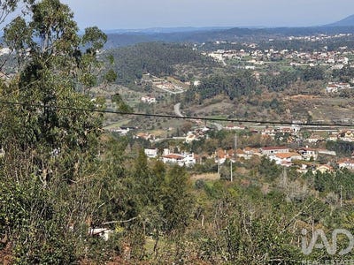 /international/pt/leiria-leiria-310105893993/