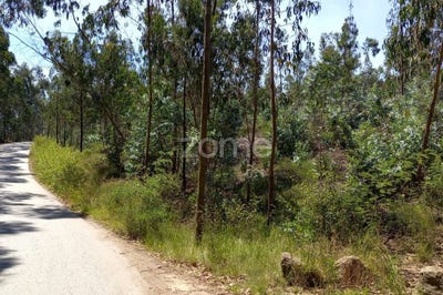 /international/pt/vila-nova-de-famalicao-braga-120069174929/