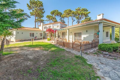 /international/pt/colares-lisbon-310100962454/?lang=it