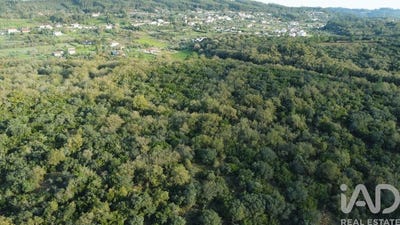 /international/pt/santarem-santarem-310105651585/