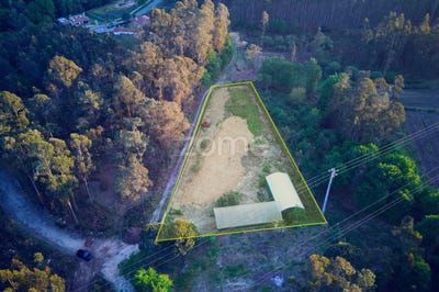 /international/pt/barcelos-braga-310107361448/