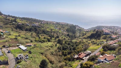 /international/pt/caminho-das-faias-arco-da-calheta-portugal-ilha-da-madeira-madeira-310101599664/