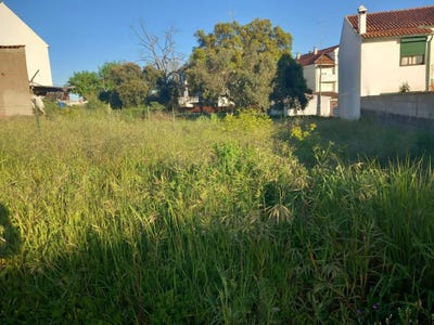 /international/pt/estrada-dos-buenos-aires-castelo-branco-braganca-310105250381/