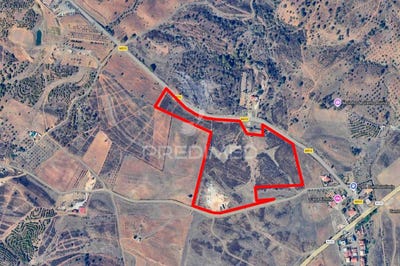 /international/pt/azinhal-castro-marim-faro-310105989559/
