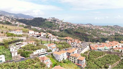 /international/pt/estreito-camara-de-lobos-madeira-310107556102/