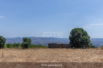 /international/pt/torre-de-moncorvo-braganca-310101994753/
