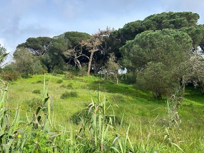/international/pt/covao-sesimbra-castelo-setubal-municipality-310107490620/