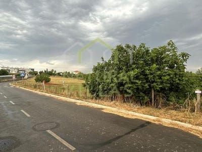/international/pt/tavira-faro-310100611512/