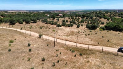 /international/pt/beja-beja-310108757514/