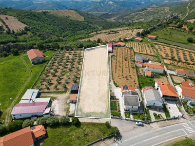 /international/pt/campo-de-viboras-vimioso-portugal-algoso-braganca-310108081860/