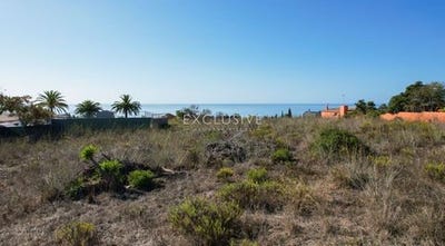 /international/pt/praia-da-luz-lagos-faro-120087612392/