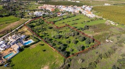 /international/pt/silves-silves-faro-120086455932/
